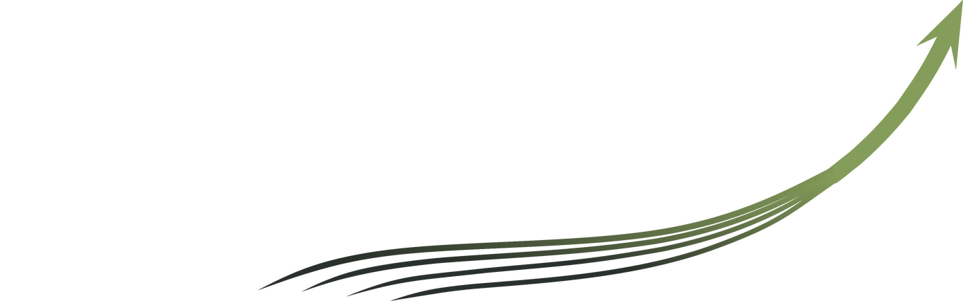 Lever flow logo LeverFlow Growth Consultancy